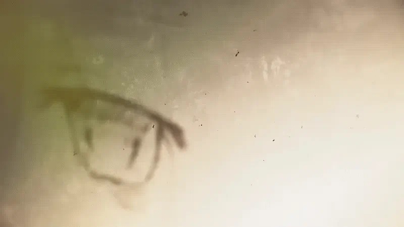 Jay profile picture
